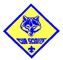 What is Cub Scouting?